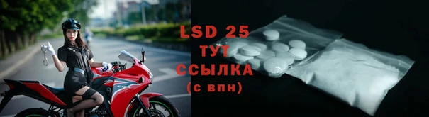 стафф Магадан