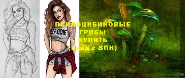 спайс Братск